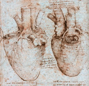 Leonardo Da Vinci's annotated drawing of the heart